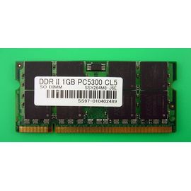 Arbeitsspeicher RAM DDR2 | 1GB | 667MHz | PC5300 CL5 | SSY264M8-J6E