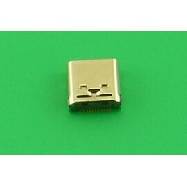 Typ-C USB-C Connector lenovo ThinkPad X1 Carbon Gen 9